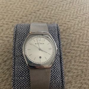 Skagen stainless mesh watch
